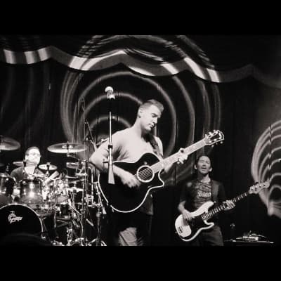 Dave Ritz Singer/Songwriter/Musician