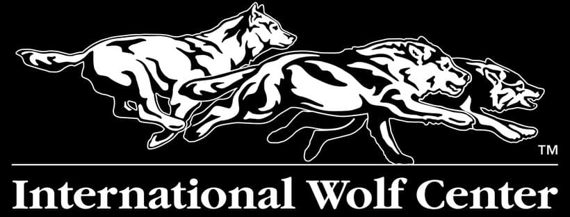 Wolves of the World cover