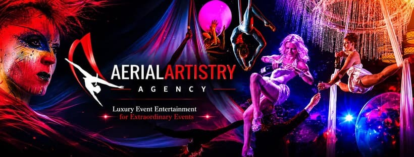 Aerial Artistry cover