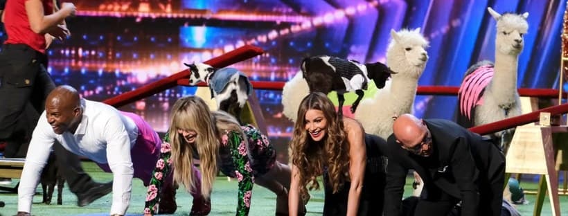 Arizona Goat Yoga cover