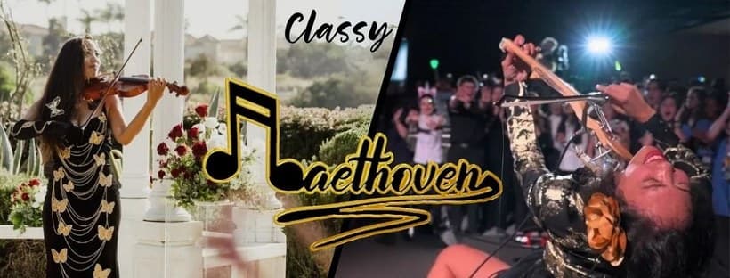 Baethoven the Violinist cover