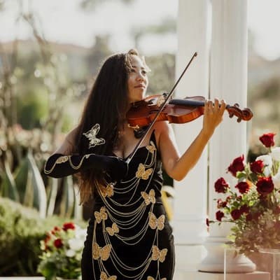 Baethoven the Violinist
